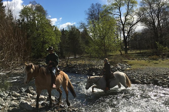 Horseback Trailride Excursion - The Waterfall Stop