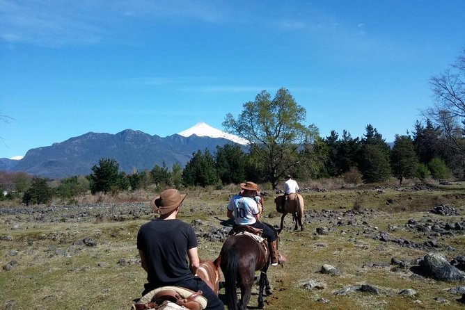 Horseback Trailride Excursion - Price, Value, and Practical Limits