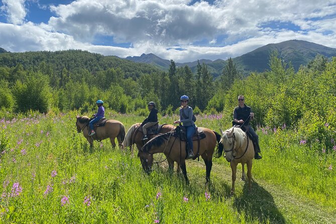 Horseback & Zipline Adventure in Alaska Mountains includes Lunch - Key points at a glance