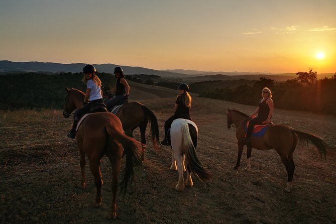 Horsebackriding - explore Tuscan nature - What the three-hour visit really includes