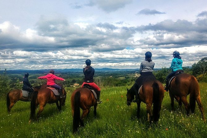 Horsebackriding - explore Tuscan nature - The scenery is the reason to make the trip