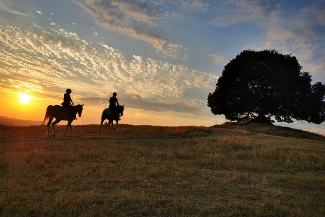 Horsebackriding - explore Tuscan nature - How the ride compares with other ways to see Tuscany