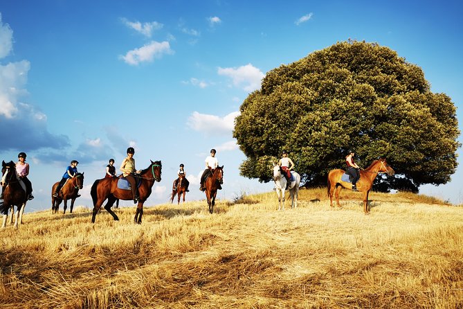 Horsebackriding - explore Tuscan nature - Practical advice before you book