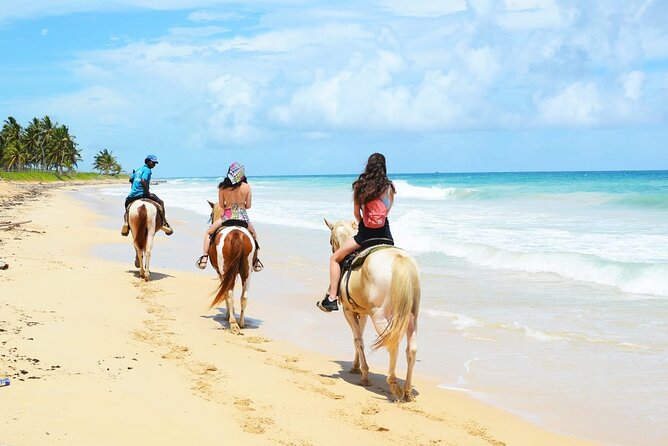 Horses, Buggy, and plantation in Chocaci Ranch - Coffee, cacao, and tobacco are the real heart of the visit