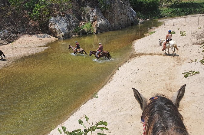 Horses on The Beach or Hot Springs - Air-conditioned pickup makes the price easier to judge