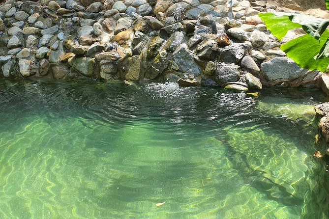 Horses on The Beach or Hot Springs - Timing, weather, and what to pack