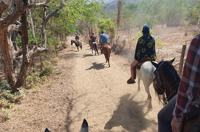 Horses on The Beach or Hot Springs - How the hot springs option compares with a sunset ride
