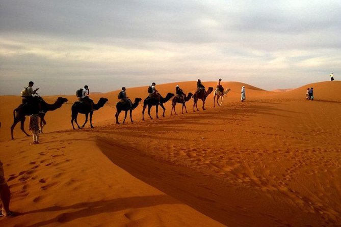 Hot Air Balloon Premium ,Camel Horse Ride,Dune Bashing ,Quad Bike - A very early pickup and the value of shared transport