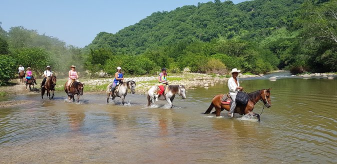 Hot Springs Horseback Riding Adventure - Key points before you book