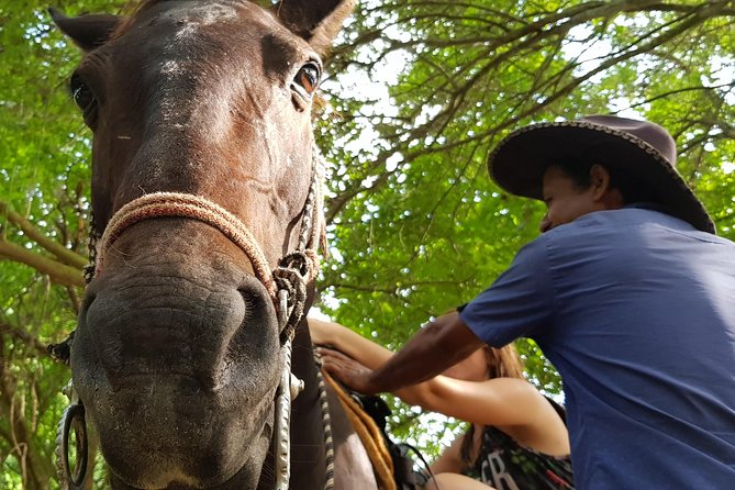 Hot Springs Horseback Riding Adventure - Reaching Manialtepec’s volcanic hot springs