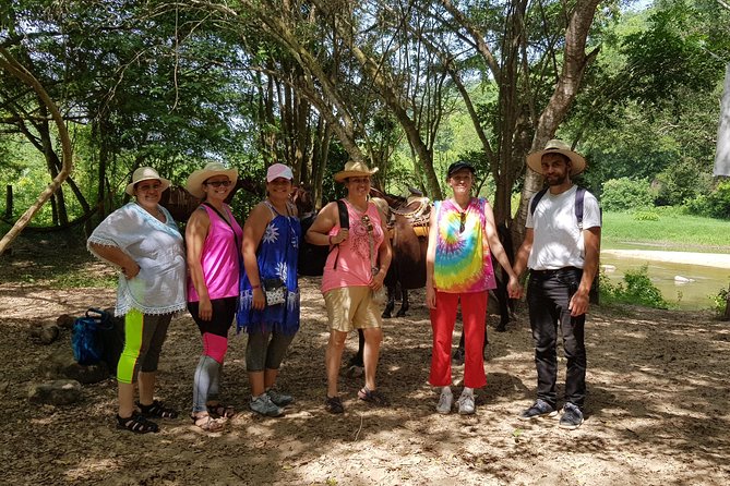 Hot Springs Horseback Riding Adventure - Meeting the horses and getting comfortable in the saddle