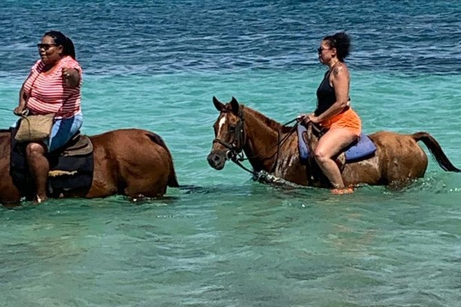 Hour Horseback Riding Guided Tour from Runaway Bay - Key points to know before you book