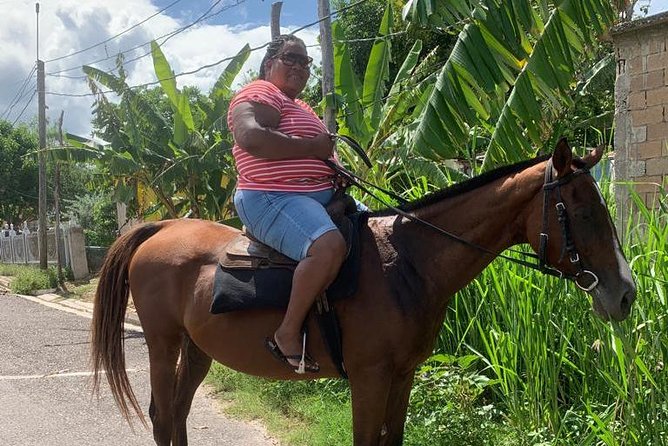 Hour Horseback Riding Guided Tour from Runaway Bay - From Runaway Bay into rural Jamaica