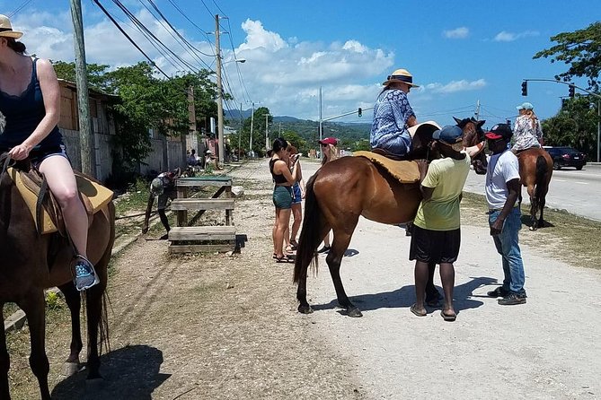 Hour Horseback Riding Guided Tour from Runaway Bay - The horse enters the Caribbean Sea