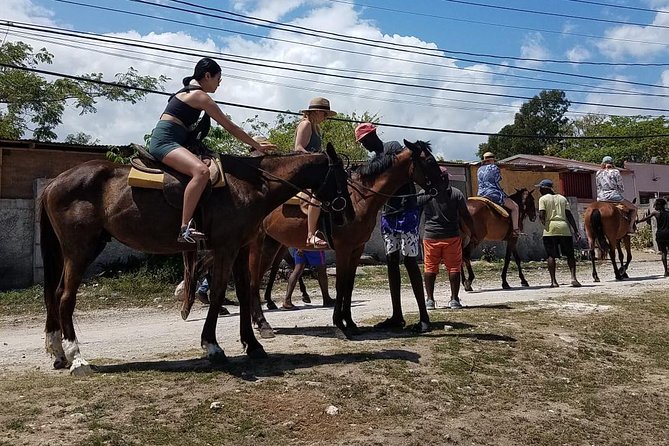 Hour Horseback Riding Guided Tour from Runaway Bay - Who should book this ride?