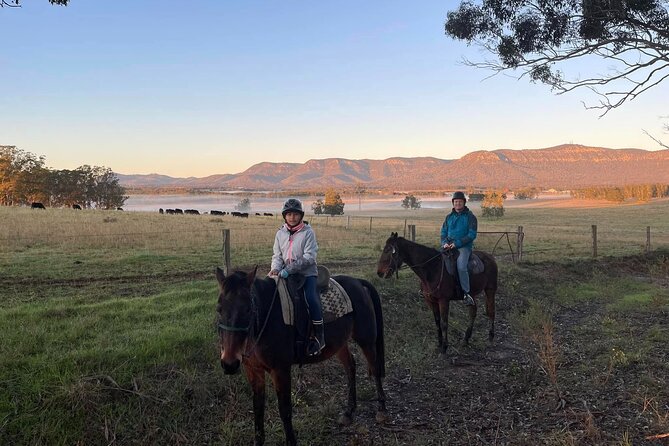 Hunter Valley Horse Ride - 90 Minutes -Vineyard & Mountain Views - Price and what you receive for $98.43