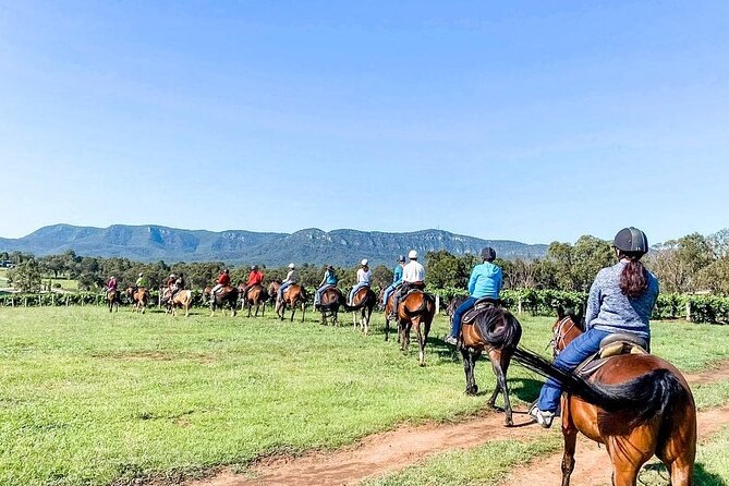 Hunter Valley Horse Ride - 90 Minutes -Vineyard & Mountain Views - Practical details that can save you trouble