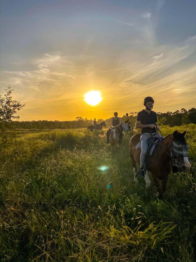 Hunter Valley: Sunset Horse Riding Tour 90min - Meeting your horse before the ride
