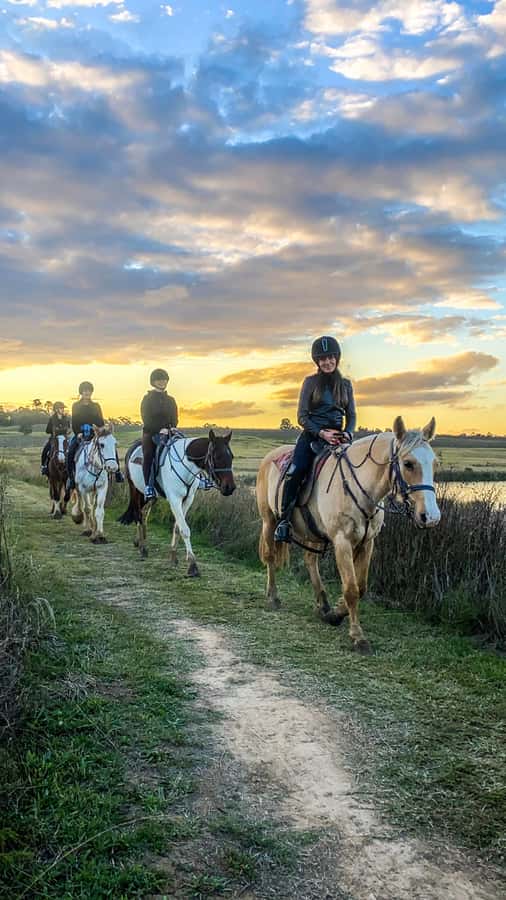 Hunter Valley: Sunset Horse Riding Tour 90min - Is $123 a fair price?