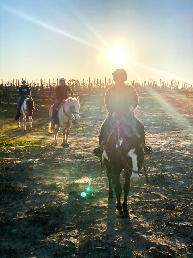 Hunter Valley: Sunset Horse Riding Tour 90min - Who should book this ride?