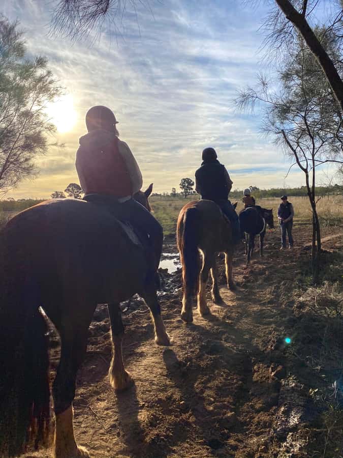 Hunter Valley: Sunset Horse Riding Tour 90min - What to bring and what to leave behind
