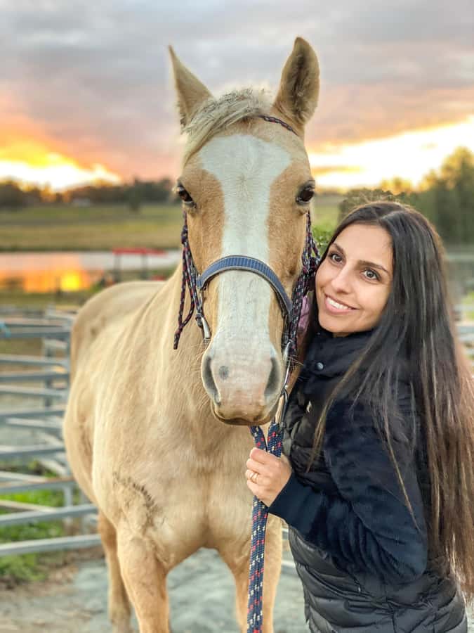Hunter Valley: Sunset Horse Riding Tour 90min - Booking, cancellation, and practical limits
