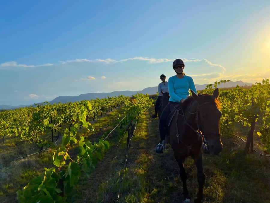 Hunter Valley: Sunset Horse Riding Tour 90min - Bushland and farmland at walking pace