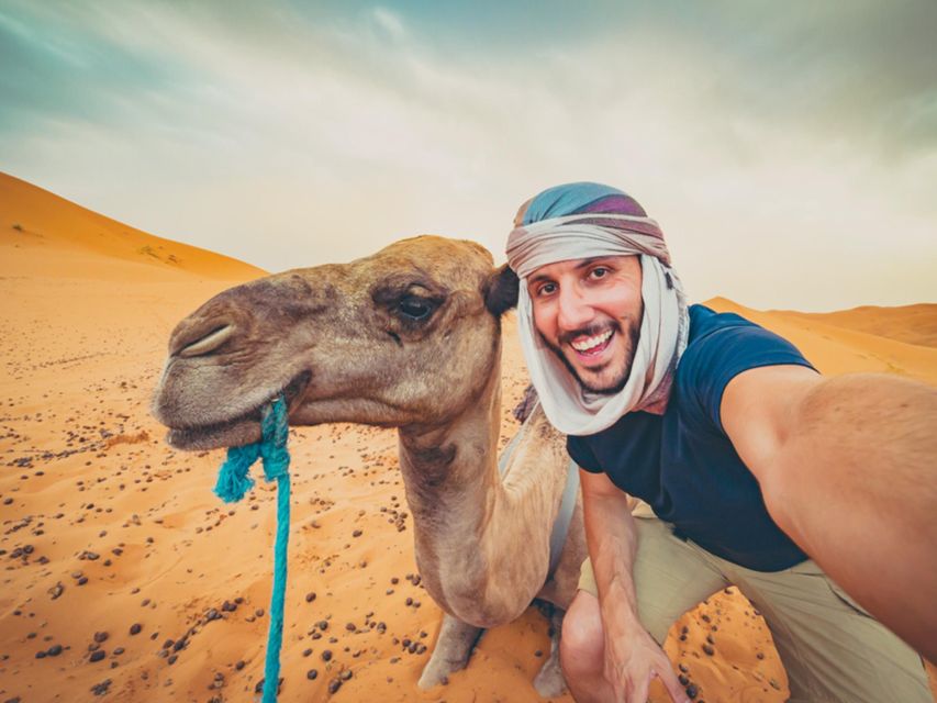 Hurghada: 4 Days Tour Horse, Camel, Spa, ATV, Jeep & Dolphin - Day four: dolphin watching, snorkeling, and water sports