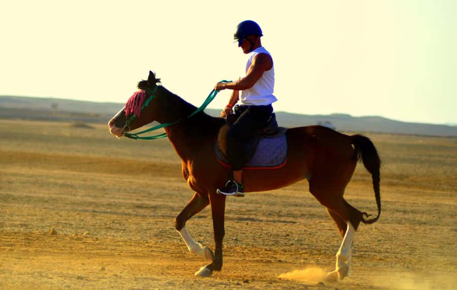 Hurghada: Arabian Desert and Sea Horseback Adventure - Hotel pickup and the time it really takes