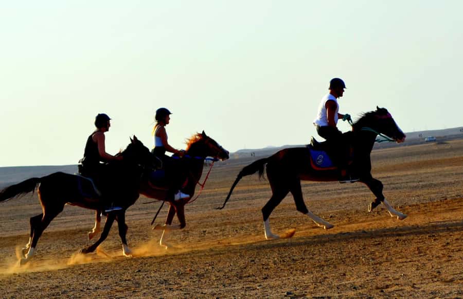 Hurghada: Arabian Desert and Sea Horseback Adventure - Dinner, breakfast, and stargazing