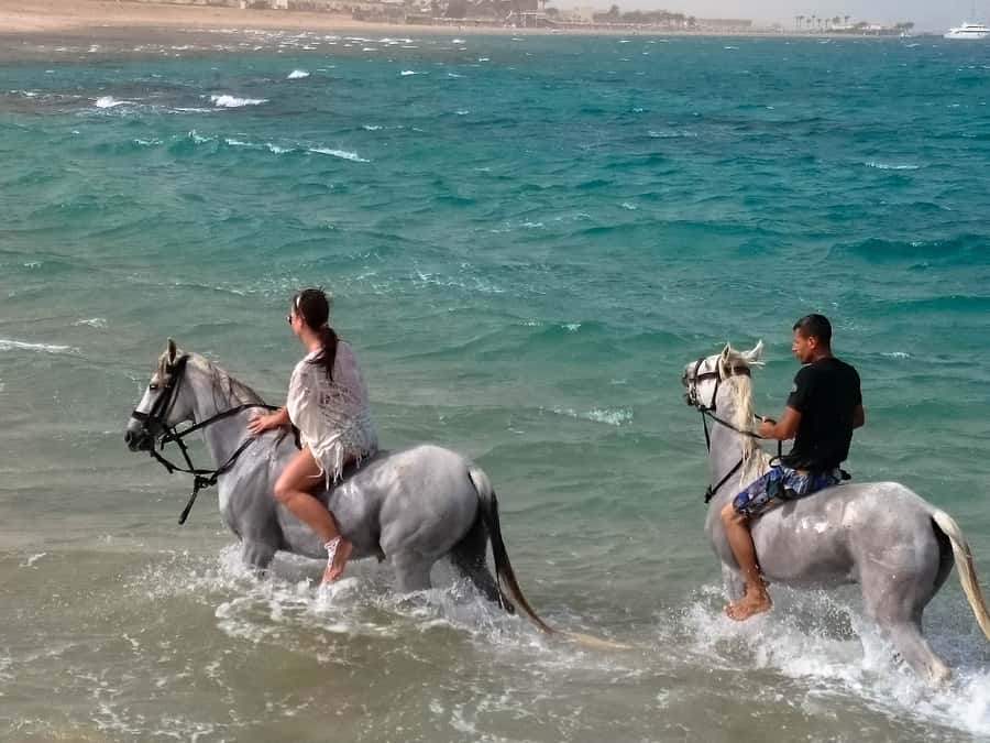Hurghada: Arabian Desert and Sea Horseback Adventure - Price, value, and what is not included