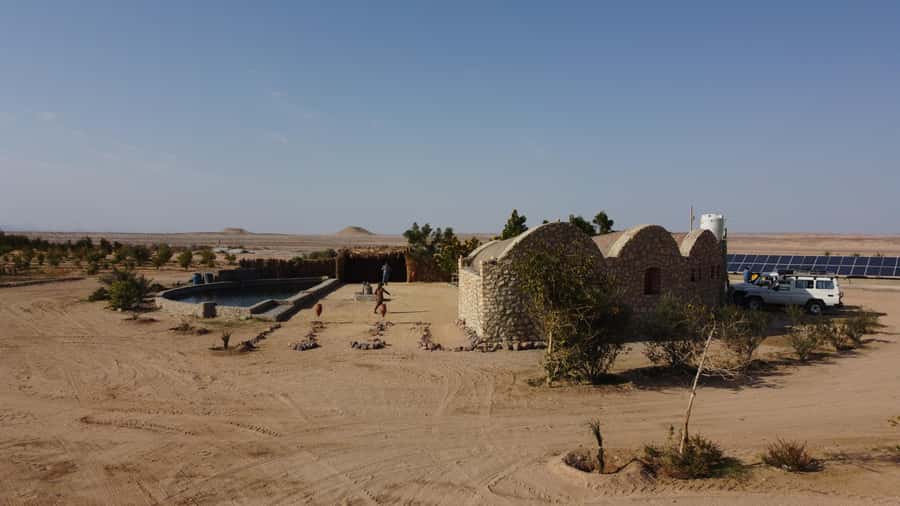 Hurghada: Camel Ride & horse ride and Off-Road Jeep Tour - Why this desert outing works