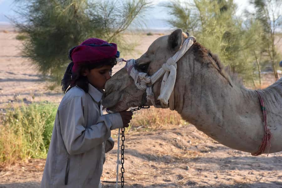 Hurghada: Camel Ride & horse ride and Off-Road Jeep Tour - The 30-minute jeep ride across the desert