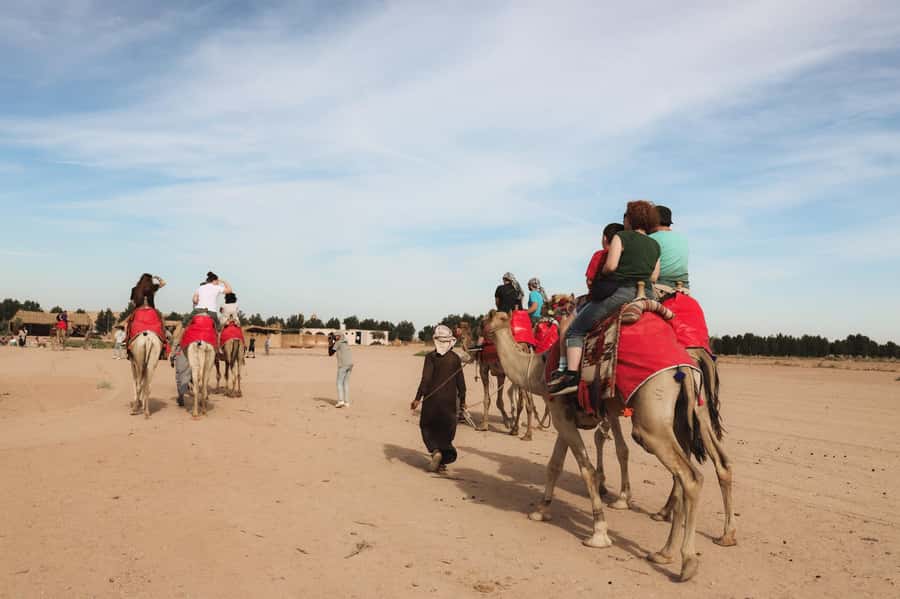 Hurghada: Camel Ride & horse ride and Off-Road Jeep Tour - Arabian tea, coffee, and dates at the farm