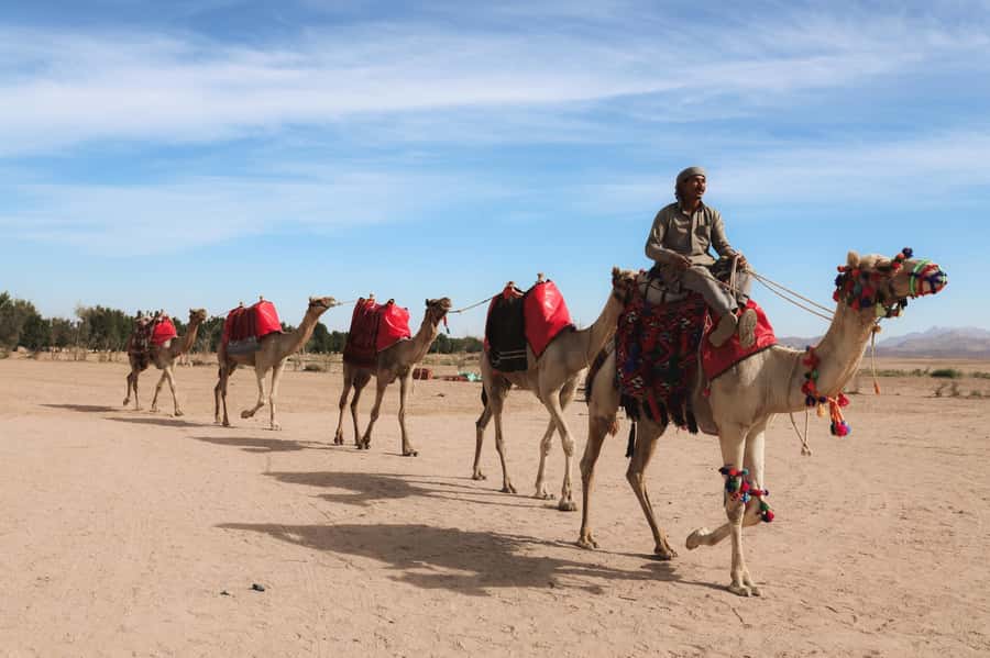 Hurghada: Camel Ride & horse ride and Off-Road Jeep Tour - One hour on horseback through the valleys