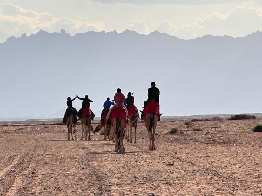 Hurghada: Camel Ride & horse ride and Off-Road Jeep Tour - Sunrise, morning, or sunset with stars