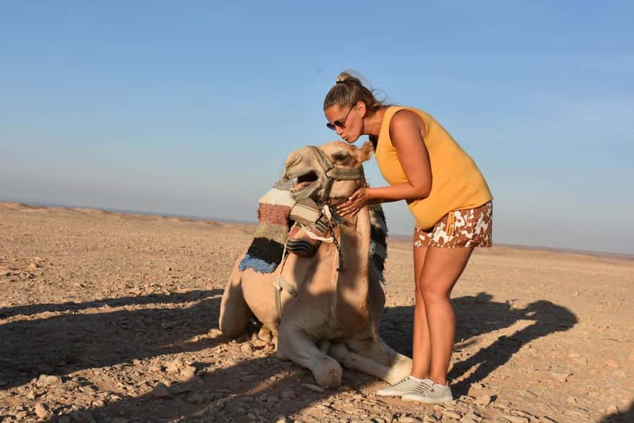 Hurghada: Camel Ride & horse ride and Off-Road Jeep Tour - Hotel pickup from five Red Sea resorts