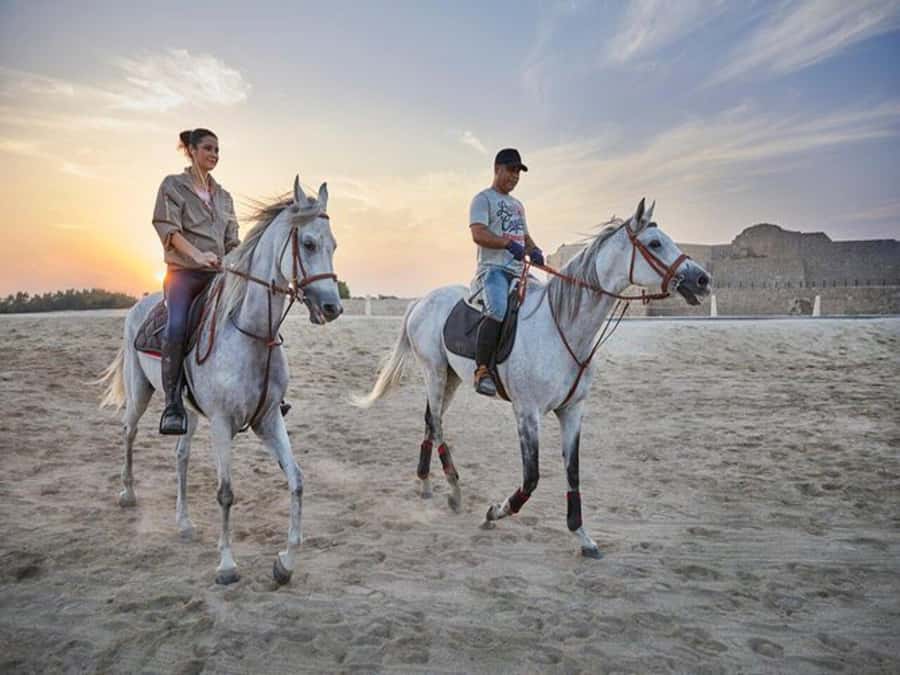 Hurghada: Desert and Sea Horseback Riding Tour with Transfer - Key points at a glance