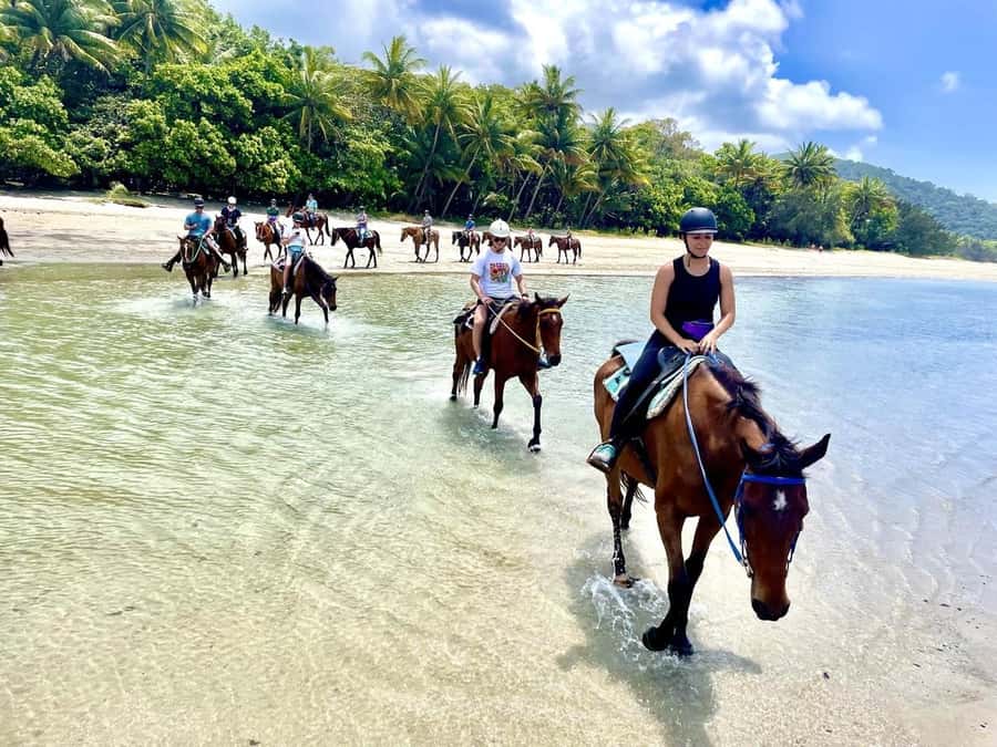Hurghada: Desert and Sea Horseback Riding Tour with Transfer - A safety lesson before the saddle