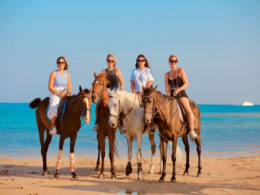 Hurghada: Desert and Sea Horseback Riding Tour with Transfer - Entering the Red Sea on horseback