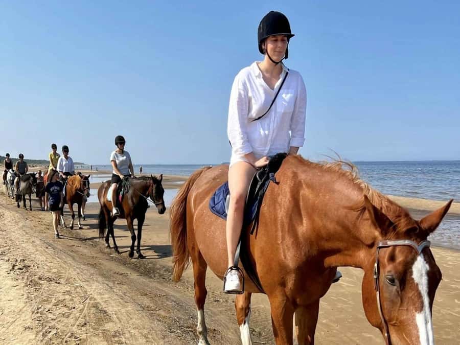Hurghada: Desert and Sea Horseback Riding Tour with Transfer - Transfers make this easy to fit into your day
