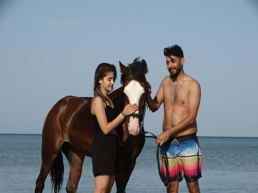 Hurghada: Desert and Sea Horseback Riding Tour with Transfer - Is $50 good value?