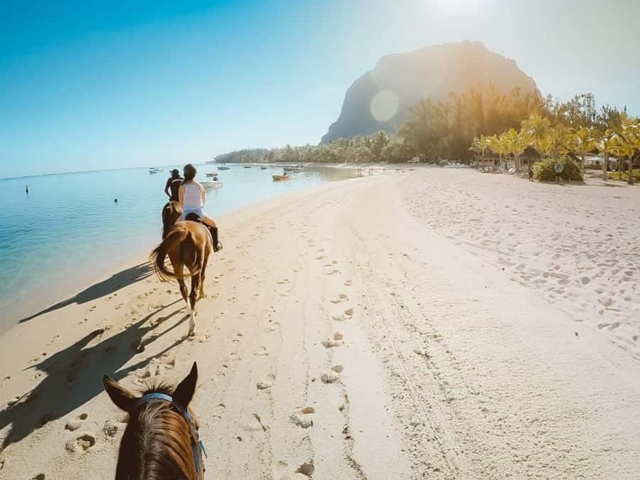 Hurghada: Desert and Sea Horseback Riding Tour with Transfer - The stable gives the tour its character