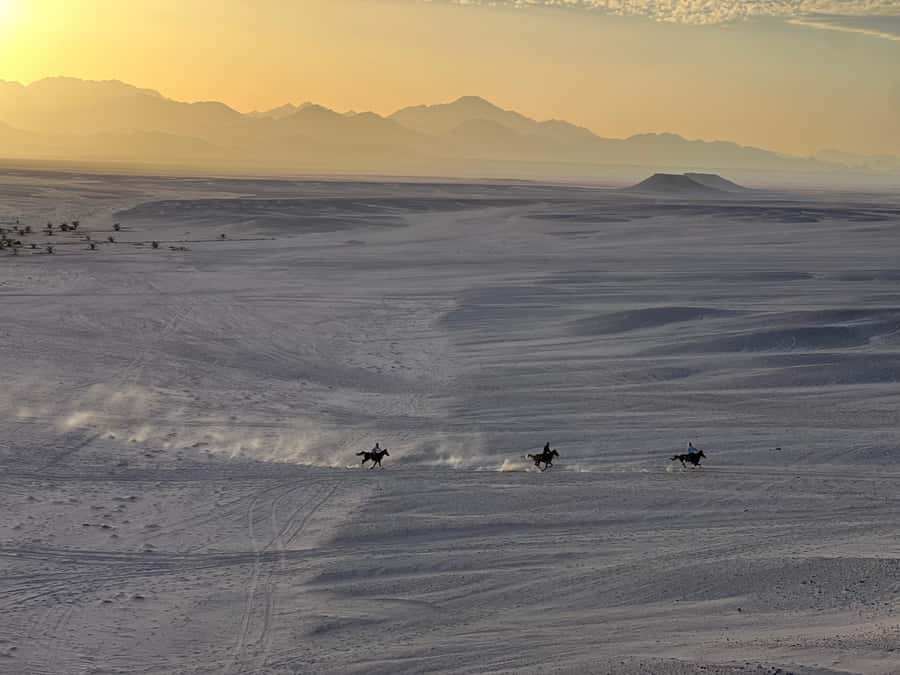 Hurghada: Horse Ride, BBQ Dinner, and Stargazing - Key points to know before you book