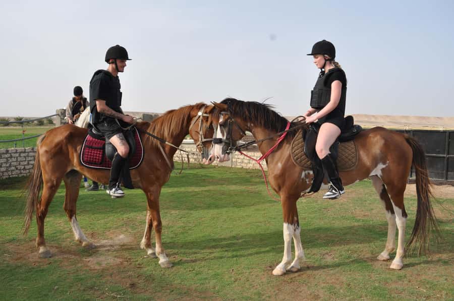 Hurghada: Horse Ride, BBQ Dinner, and Stargazing - From Hurghada hotels to a desert oasis