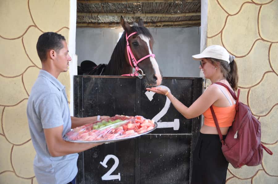 Hurghada: Horse Ride, BBQ Dinner, and Stargazing - BBQ dinner at the oasis