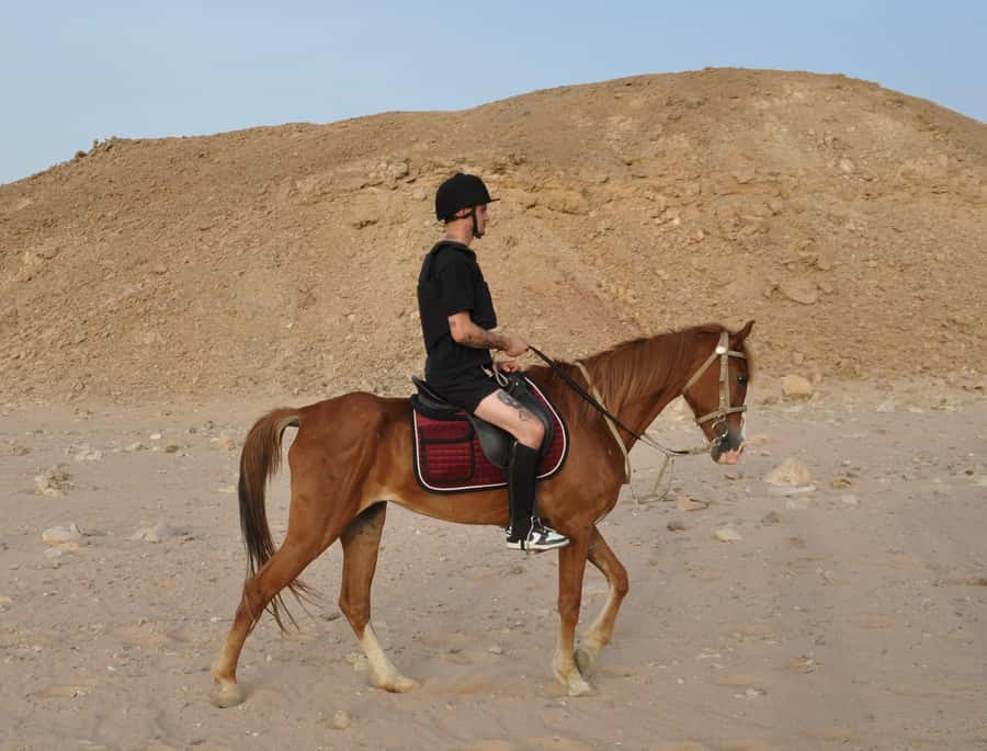 Hurghada: Horse Ride, BBQ Dinner, and Stargazing - Stargazing with Adam, Nasser, and the night sky