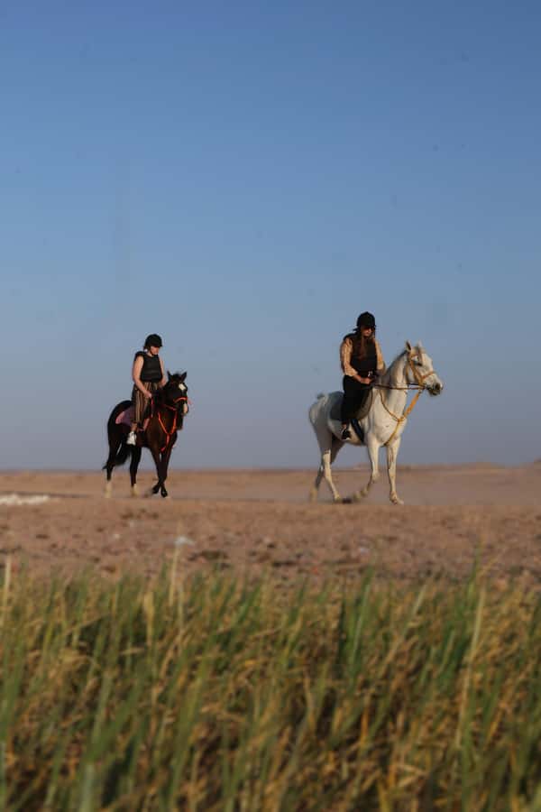 Hurghada: Horse Riding & Safari Adventure - Riding beyond Hurghada’s resort strip
