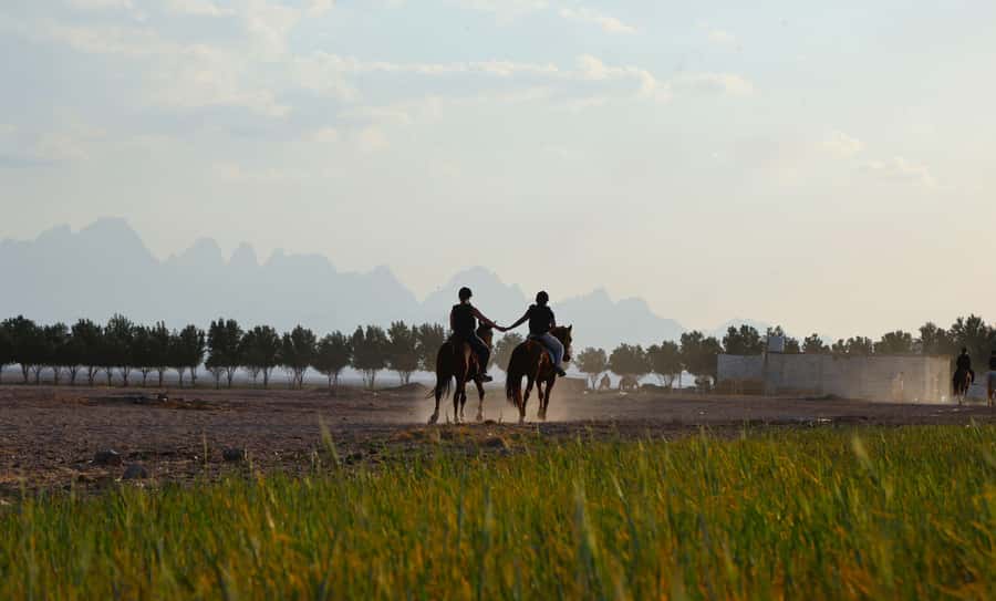 Hurghada: Horse Riding & Safari Adventure - Tea, coffee, and a proper riding briefing