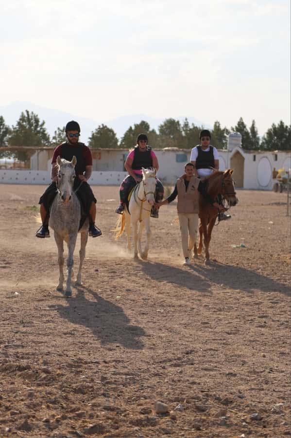 Hurghada: Horse Riding & Safari Adventure - Animal care and safety details